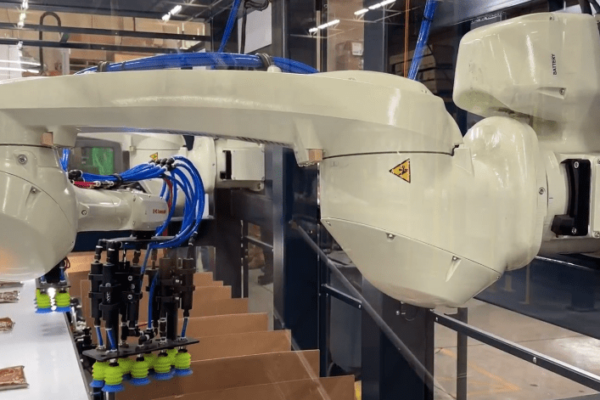 Robotic Case Packing